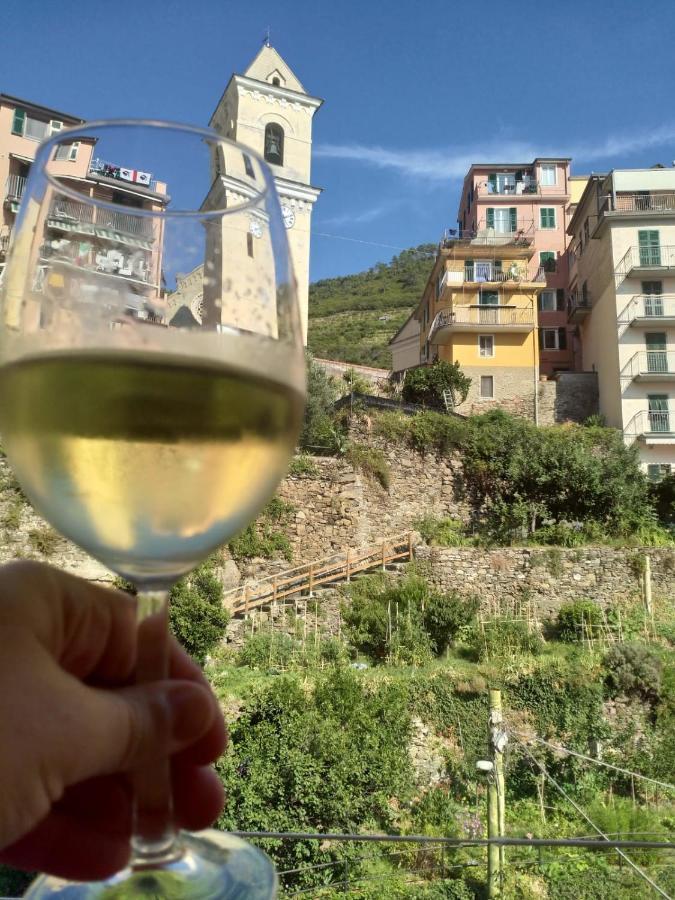 Willy's Сasa de vacaciones
